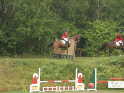 IMG_1486_web